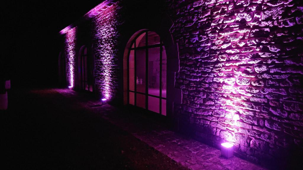 Décoration projecteurs LED sur batterie